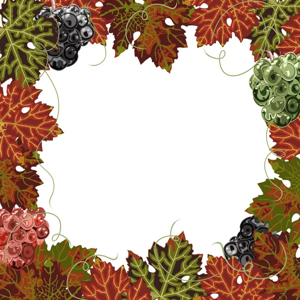 Frontera de otoño hojas de uva brillantes y racimos de uvas sobre fondo blanco . — Vector de stock