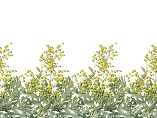 Pelin otunun kusursuz yatay şekli. Artemisia Absinthium.