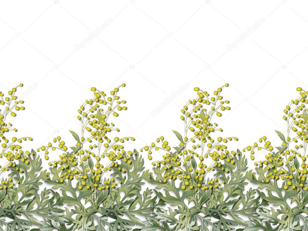 Seamless horizontal pattern of wormwood. Artemisia absinthium.