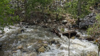 Nehir kayaların üzerinden akıyor.