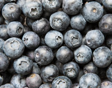 Yazın taze, olgun yaban mersinlerini yakın çekim. Sağlıklı bir yaşam tarzı için sağlıklı bir atıştırmalık. 