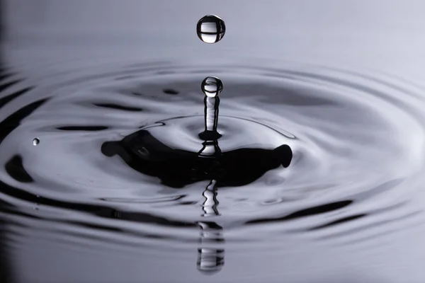 Perfect water drop splashing into smooth water causing ripples
