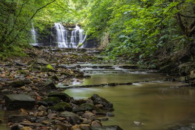 Derin bir vadide, damlayan beyaz suyla gizlenmiş bir şelale. Bowland Ormanı, Ribble Vadisi, Lancashire