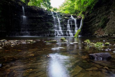 Derin bir vadide, damlayan beyaz suyla gizlenmiş bir şelale. Bowland Ormanı, Ribble Vadisi, Lancashire