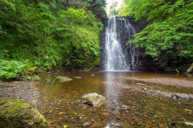 Büyük çağlayan şelale huzurlu bir havuza yuvarlanıyor. Düşen Foss Şelalesi, Yorkshire Dales 