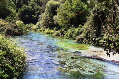 Arnavutluk 'taki Blue Eye arazisindeki dağ nehri. Mavi Gözün Kaynağı. Farklı tonlarda su. Nehrin kıyısında yeşil ağaçlar.
