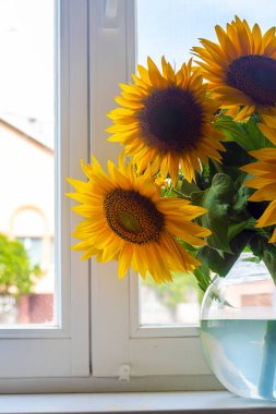 Cam vazodaki üç güzel sarı ayçiçeği pencerenin kenarında dikiliyorlar.