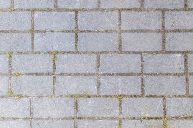 Soyut arkaplan - kare şeklinde gri asfalt levhalar. Yukarıdan bak. Burada ve orada çimenler büyümüş dikişlerin arasından.