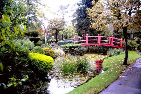 日本庭園の 生命の赤い橋 アイルランド — ストック写真