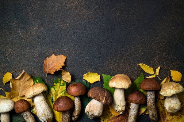 Autumn composition. Mushrooms Boletus and Autumn leaves background. Fall season mood. Top view, copy space