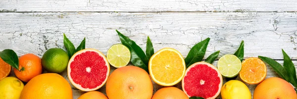 Citrus Fruits Background Assorted Fresh Citrus Fruits Leaves Long Web — Stock Photo, Image