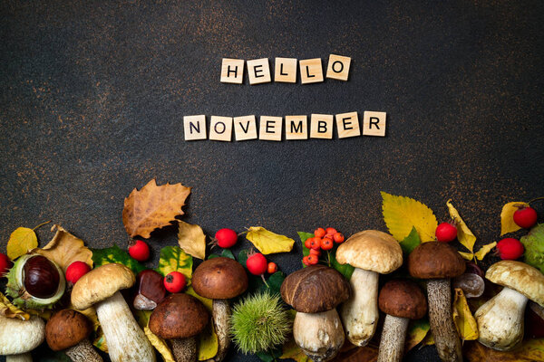 Hello November card. Mushrooms Boletus, chestnuts, wild berries, rowan and Autumn leaves background. Autumn composition. Fall season mood. Top view