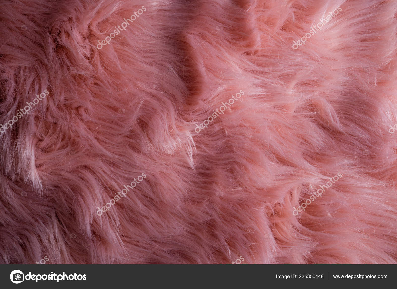 Fur texture top view. Brown fur background. Fur pattern. Texture of brown  shaggy fur Stock Photo by LanaSweet