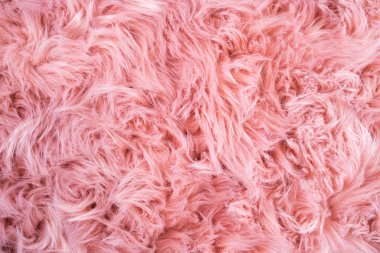 Pembe sheepskin arka plan. Kürk desen. Yün doku. Yakın u koyun kürk