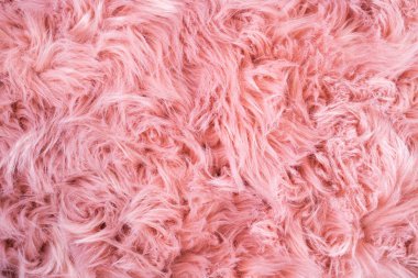 Pink sheepskin background. Fur pattern. Wool texture. Sheep fur close u clipart