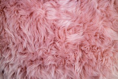 Pembe sheepskin arka plan. Kürk desen. Yün doku. Yakın u koyun kürk