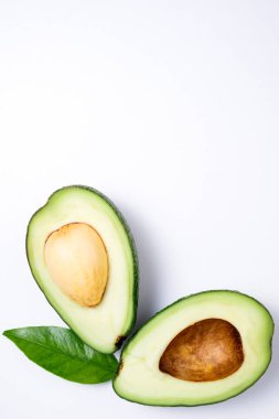 Beyaz arka plan üzerinde avokado. Avokado ile tropikal arka plan bir