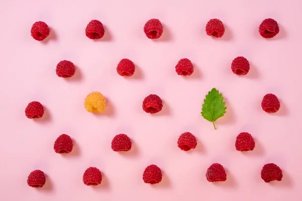 Modello di lampone su sfondo rosa. Bacche estive piatte — Foto Stock