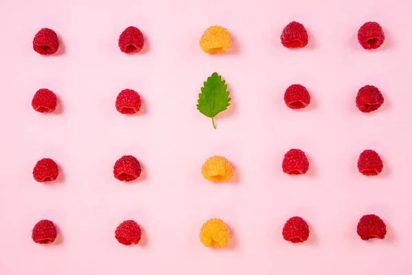 Pattern of raspberry on pink background. Flat lay summer berries