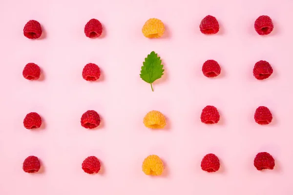 Patrón de frambuesa sobre fondo rosa. Plano poner bayas de verano — Foto de Stock