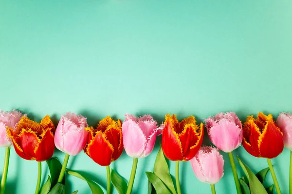 Jarní květiny. Kytice tulipány květiny na barevném pozadí. Svátky, Velikonoce, 8. března, šťastné narozeniny, výročí svatby, svatební přání — Stock fotografie