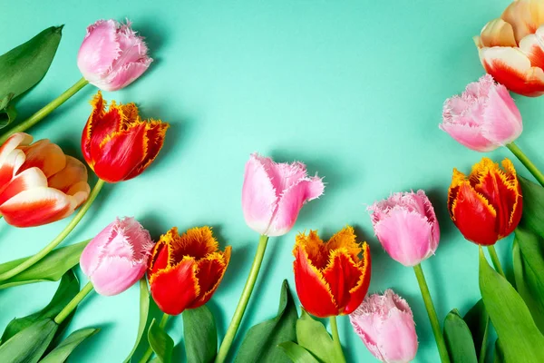 Buquê de flores de tulipas em fundo festivo a cores. Flores de primavera no cartão floral flat lay. Cartão de felicitações, conceito de férias. Espaço de cópia — Fotografia de Stock