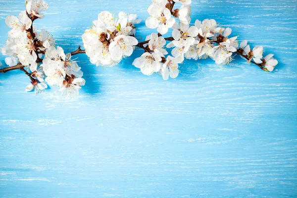 Beautiful floral spring abstract background with blooming flowers. White spring cherry blossom on blue rustic wooden table. Mothers Day concept — Stock Photo, Image