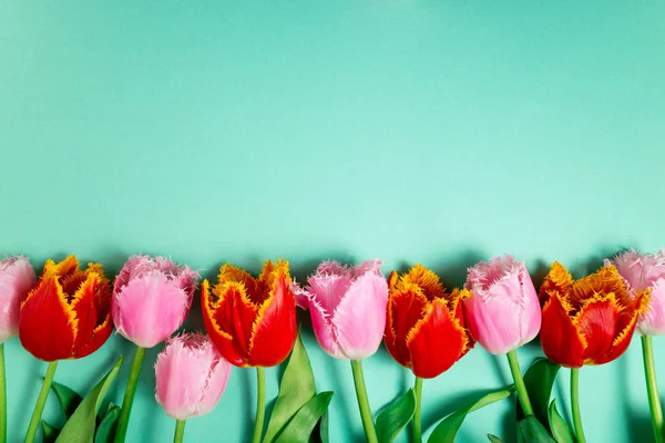盛开的郁金香花束在色彩节日的背景下。花牌上的春花平放。贺卡，节日理念。复制空间 — 图库照片