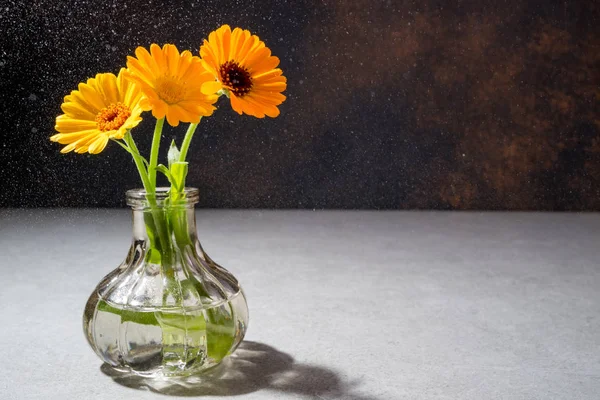 Vackra blombukett i vas med vattendroppar. Sommar blomning — Stockfoto