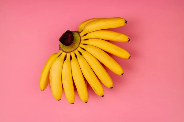 Trendy colorful fruit background of fresh yellow bananas on pink — Stock Photo, Image