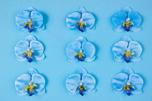 Padrão floral feito de flores de orquídea azul no fundo azul. F — Fotografia de Stock