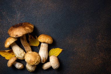 Mantar ve yaprakları ile Sonbahar arka plan. Mantar boletus üzerinde