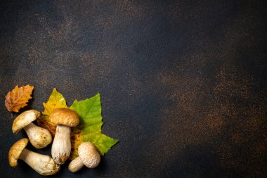 Mantar ve yaprakları ile Sonbahar arka plan. Mantar boletus üzerinde