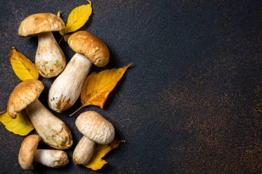 Mantar ve yaprakları ile Sonbahar arka plan. Mantar boletus üzerinde