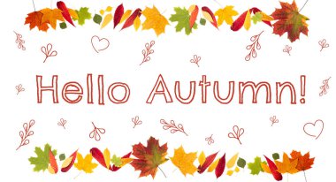 Merhaba sonbahar konsepti. Sonbahar arka planı. Sonbahar kompozisyon ma