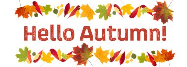 Merhaba sonbahar konsepti. Sonbahar arka planı. Sonbahar kompozisyon ma