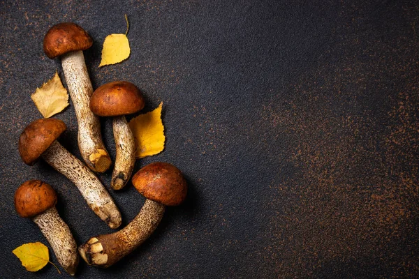 Mantarile Sonbahar arka plan. Turuncu kapaklı boletus mantar o