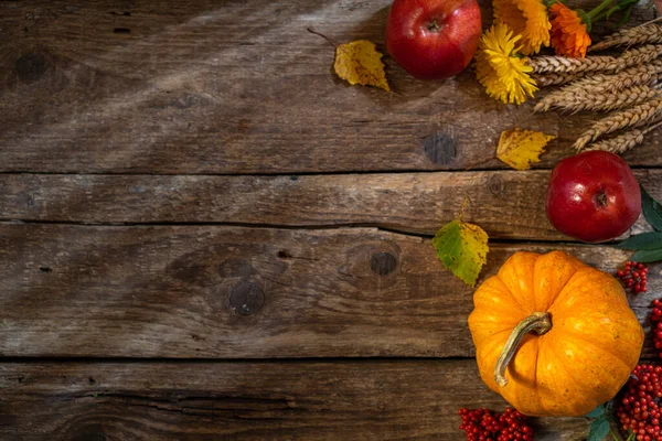 Şükran Günü için sonbahar arkaplanı. Balkabağı, çiçek ve mevsimlik meyve süslemeleri kırsal ahşap masa üzerinde. Kopyalama alanı ile arkaplanı düşür. Üst görünüm
