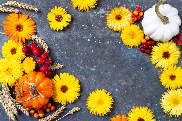 Autumn Composition Frame Made Autumn Pumpkins Berries Yellow Flowers Wheat — Stock Photo, Image
