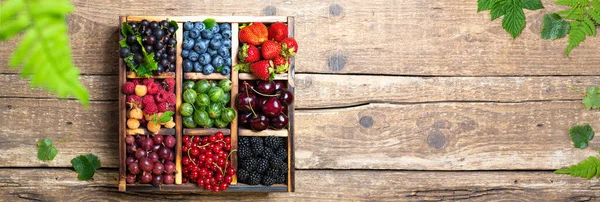 混合新鲜的浆果和树叶在木盒里 背景质朴 森林夏天的浆果 各种浆果健康食品 顶部视图 长网页格式 复制空间 — 图库照片
