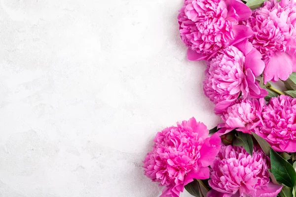 Beautiful Pink Peony Flowers White Background Flat Lay Top View — Stock Photo, Image