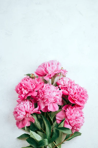 Flores Peônias Cor Rosa Sobre Fundo Branco Flat Lay Vista — Fotografia de Stock