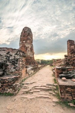 Ayutthaya, Tayland 'da bulutlu bir günde Wat Mahathat tapınağının manzarası.