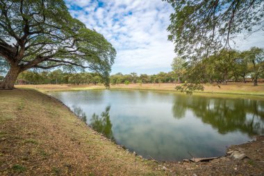 Yansıması olan büyük ağaçlı gölet manzarası..