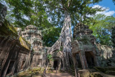 Temiz mavi gökyüzü, Ta Prohm tapınağı kalıntıları, Angkor, Kamboçya.