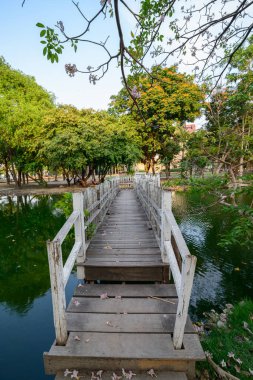 Bangkok, Tayland 'da düşen Pembe Panthip çiçekleriyle kanalın üzerindeki beyaz ahşap köprünün güzel manzarası.