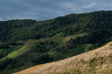Chiang Rai, Tayland 'daki Pha Tang ve Phu Chi Fah yolundaki dağ ve tepenin manzarası.