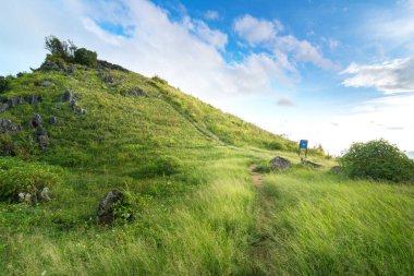 Doi Pha Tang 'ın güzel manzarası. Yeşil çimenler ve Chiang Rai, Tayland' da güzel mavi bir gökyüzü..