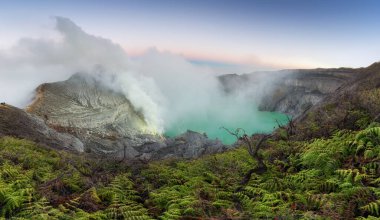 Kawah İjen 'in şafak vakti Endonezya' daki yeşil eğreltiotu önplanlı güzel manzarası..