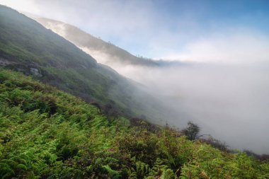 Kawah İjen 'in Java, Endonezya' daki manzarası sabahları çok sisli oluyor..